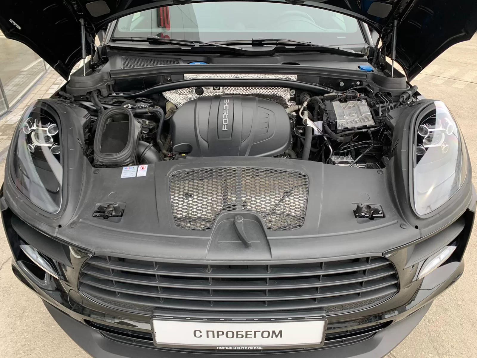 Macan